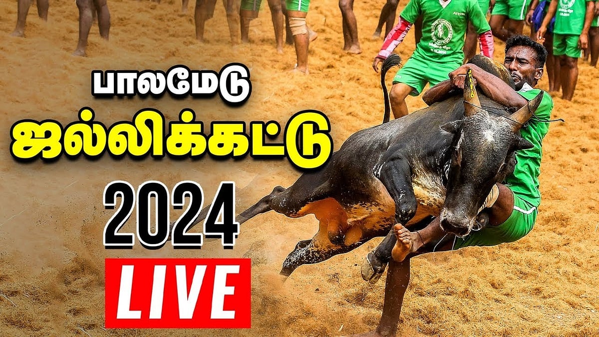 Jallikattu: புகழ்பெற்ற பாலமேடு ஜல்லிக்கட்டு போட்டி நேரலை Live update