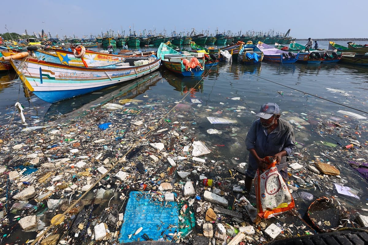 சென்னை காசிமேடு மீன் பிடி துறைமுகத்தில் பிளாஸ்டிக், ரப்பர் கழிவுகள் - அதிர்ச்சி அளிக்கும் படங்கள்!