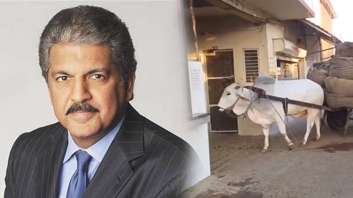 `ஒரு வேளை ராமு பேசினால்...' ஆனந்த் மஹிந்திரா ட்வீட்டும் வைரல் காளை வீடியோவும்?!