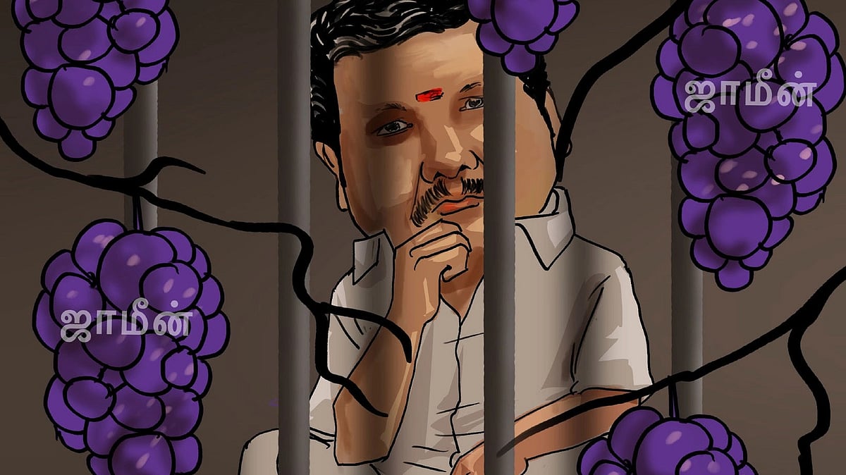 கார்ட்டூன்