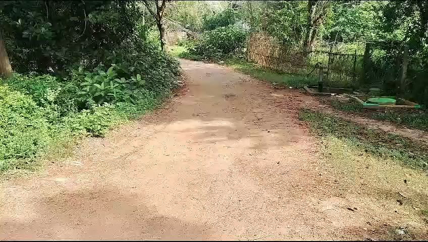 போடப்படாத சாலை