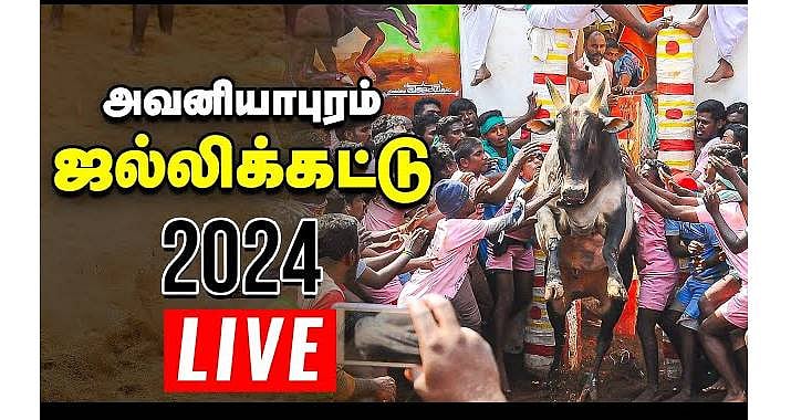 Jallikattu: புகழ்பெற்ற அவனியாபுரம் ஜல்லிக்கட்டு போட்டி நேரலை Live update