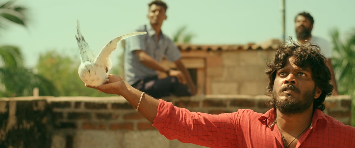 Byri: புறா பந்தயங்கள்; பைரி கழுகுகள்; சினிமாவாகும் குறும்படம் - இயக்குநர் சொல்லும் தகவல்கள்!