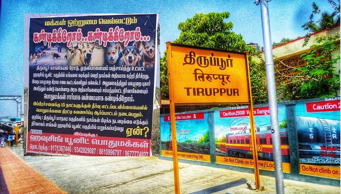 திருப்பூர்: 3 மாதங்களில் 20-க்கும் மேற்பட்டோரைக் கடித்த வெறி நாய்க் கூட்டம் - அச்சத்தில் மக்கள்!