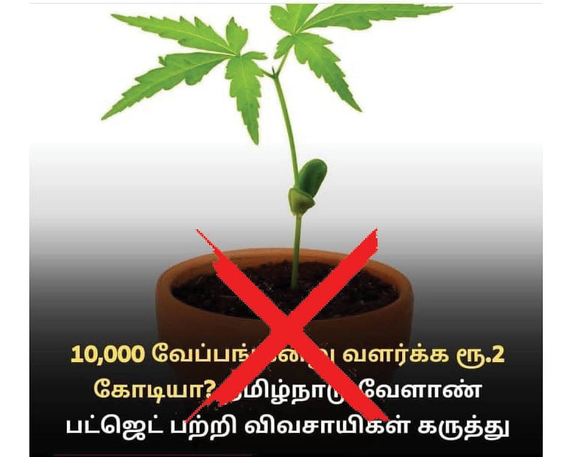 Fact Check: 10,000 மரக்கன்றுகளுக்கு 2 கோடியா... உண்மை என்ன?