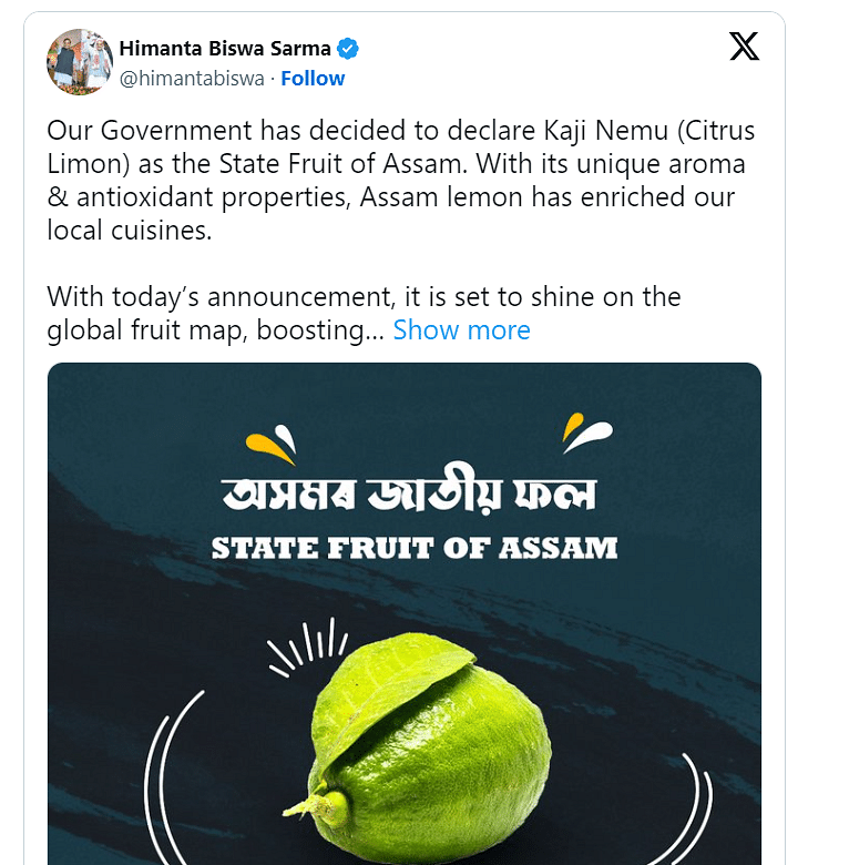Assam Declares 'Kaji Nemu' Lemon as State Fruit, Boosting Local Agriculture