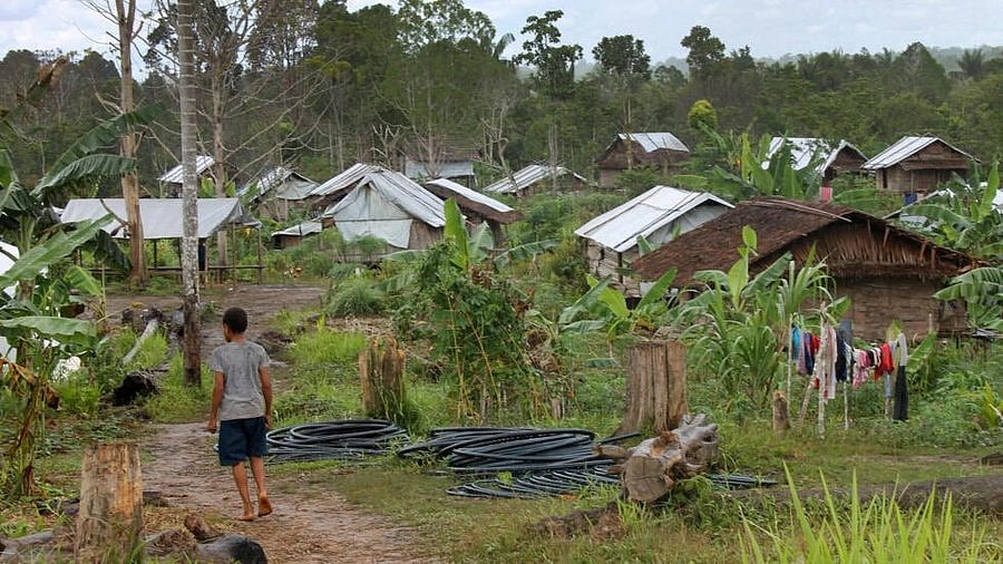 Papua New Guinea: பழங்குடிக் குழுக்களுக்கிடையே வெடித்த மோதல்; 60-க்கும் மேற்பட்டோர் பலி... பதற்றம்!