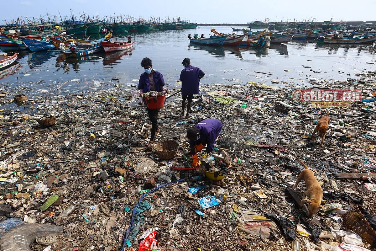 சென்னை: காசிமேடு மீன்பிடி துறைமுகத்தில் குப்பை கழிவுகள்... அகற்றும் பணியில் தூய்மைப் பணியாளர்கள்!