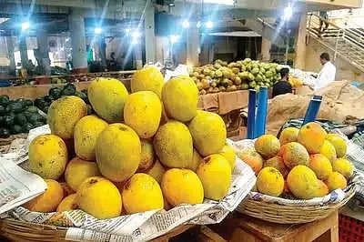 குளிர்காலத்தில் விளைந்த 
அபூர்வ மாம்பழம்:  
டஜன் ரூ.7000-க்கு விற்பனை!