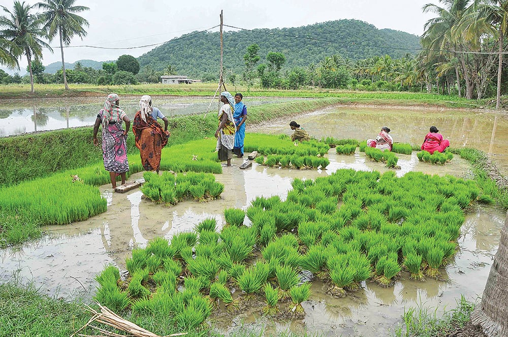 `ரூ.2 கோடி வரை விவசாயிகள் கடன் பெறலாம்'
 என்ன திட்டம் அது? 