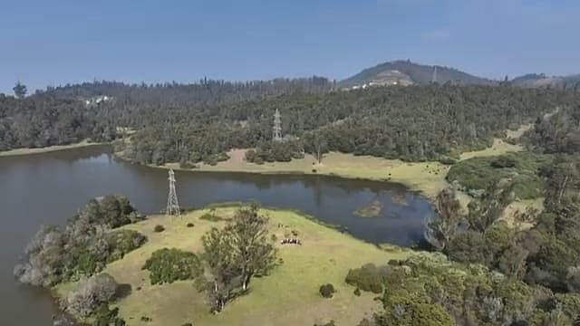 நீலகிரி: பாதுகாக்கப்பட்ட வனத்துக்குள் அத்துமீறி பைக் சாகசம், டிரோன் - யூடியூபருக்கு அபராதம் விதிப்பு