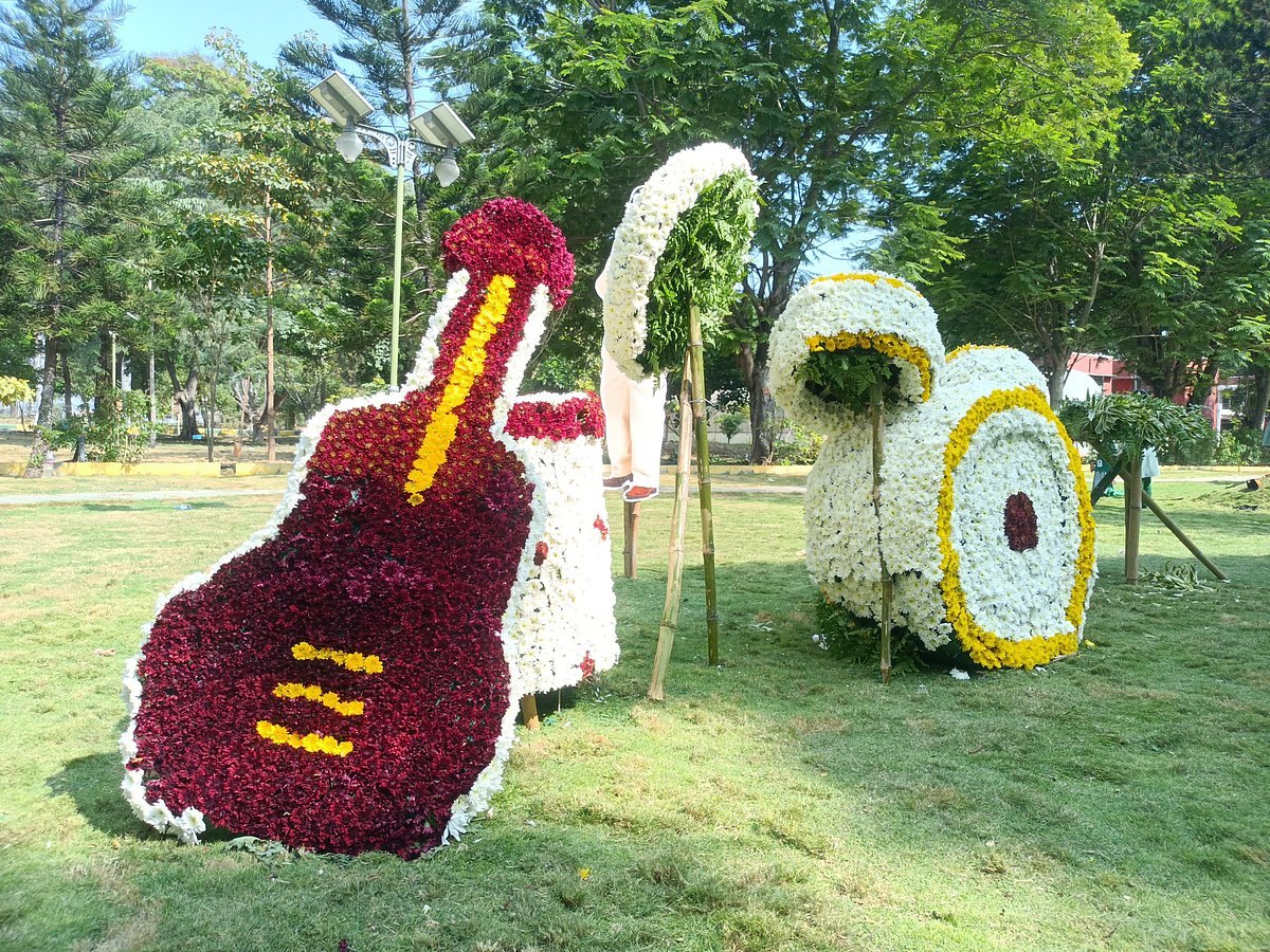 Flower Show : 200 அரியவகை பூக்கள்... பூத்துக் குலுங்கும் கோவை மலர் கண்காட்சி..!