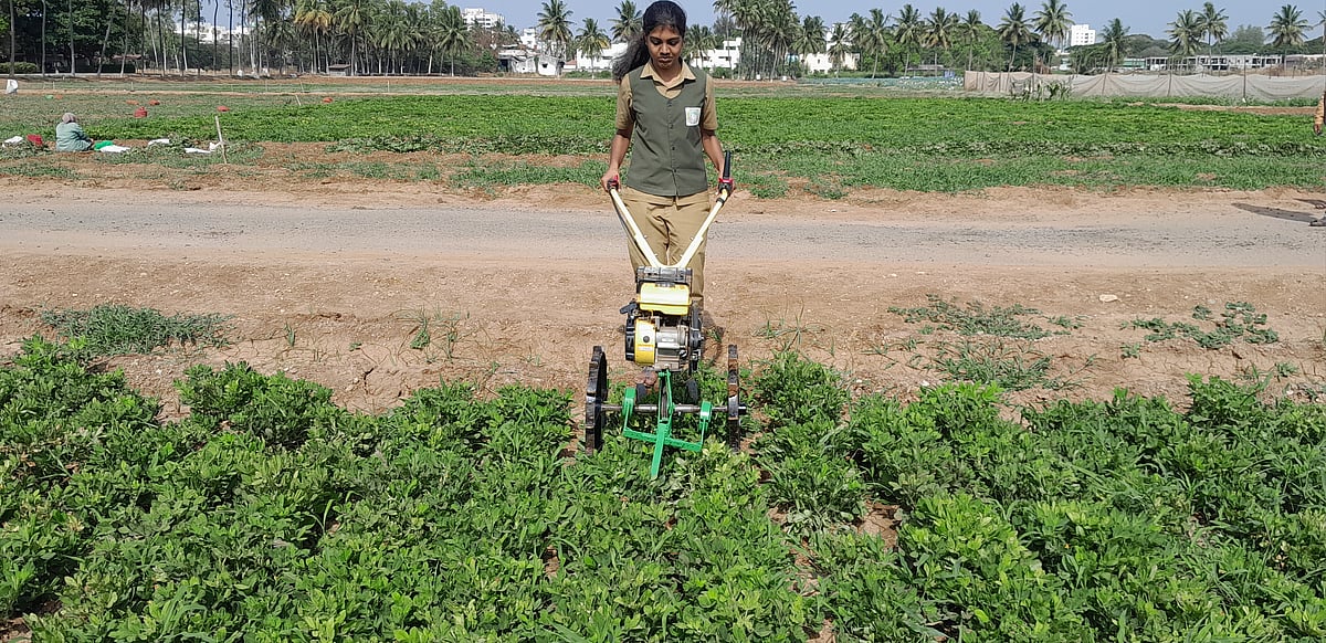 களையெடுத்து மண் அணைக்கும் கருவி... காப்புரிமை பெற்ற தமிழ்நாடு வேளாண்மைப் பல்கலைக்கழகம்!