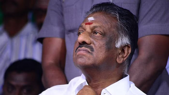 `பாஜக கூட்டணியில் வெற்றிபெறப் போகும் 400 பேர்களில் நானும் ஒருவன்!' - சொல்கிறார் ஓ.பி.எஸ்