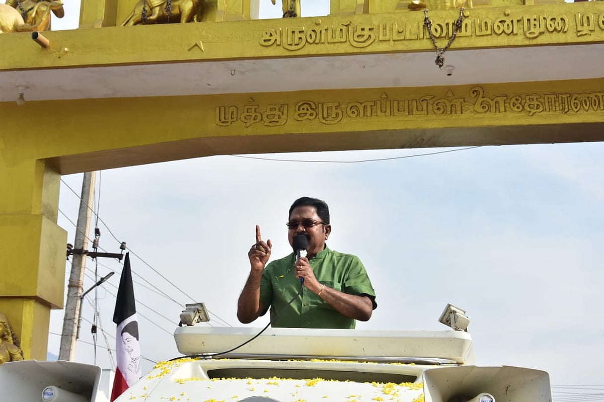 `நான் தேனியில் போட்டியிட வேண்டுமென ஓபிஎஸ் மகன் விரும்பினார்!' - டி.டி.வி.தினகரன் 