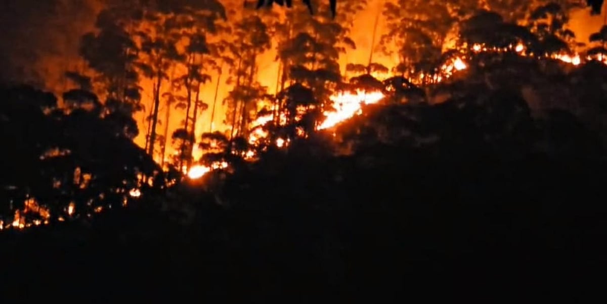 kodaikanal: வனத்தில் காட்டுத்தீ-  பரவலை தடுக்க ஹெலிகாப்டர் பயன்படுத்தப்படுமா?