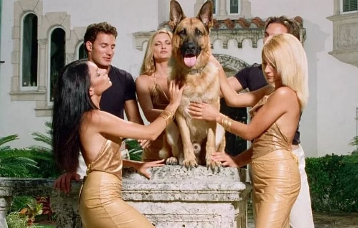 Gunther VI: மடோனா வீடு, சொகுசு பயணம்... உலகின் பணக்கார நாயும், அதிரவைக்கும் சொத்து மதிப்பும்?!