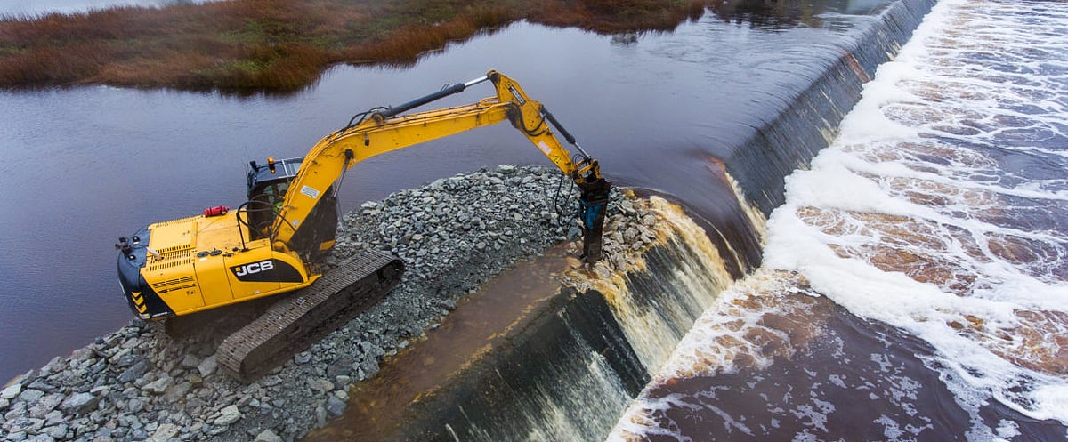 `ஐரோப்பாவில் இடிபடும் அணைகள்!' - அழிந்துபோனதாக நினைத்த சாலமன் மீன் இனம் மீள்கிறது!