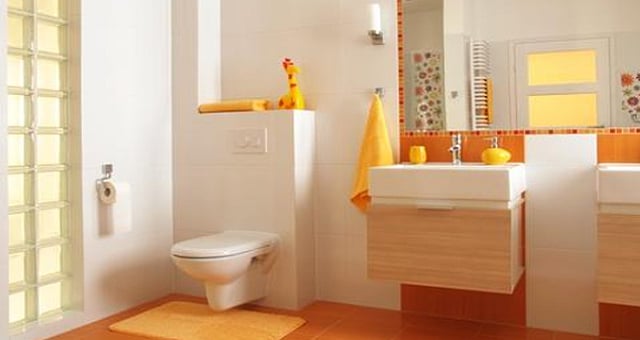 குளியலறை, கழிப்பறையை சுத்தமாகப் பராமரிக்க என்ன செய்யணும்?  