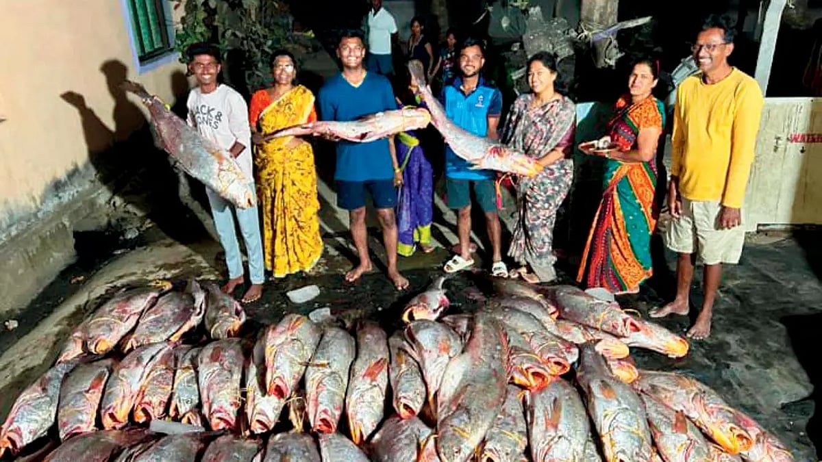 Fishing: கடலில் கிடைத்த மீன் புதையல்... ஒரே நாளில் கோடீஸ்வரர்களான 3 மீனவர்கள்!