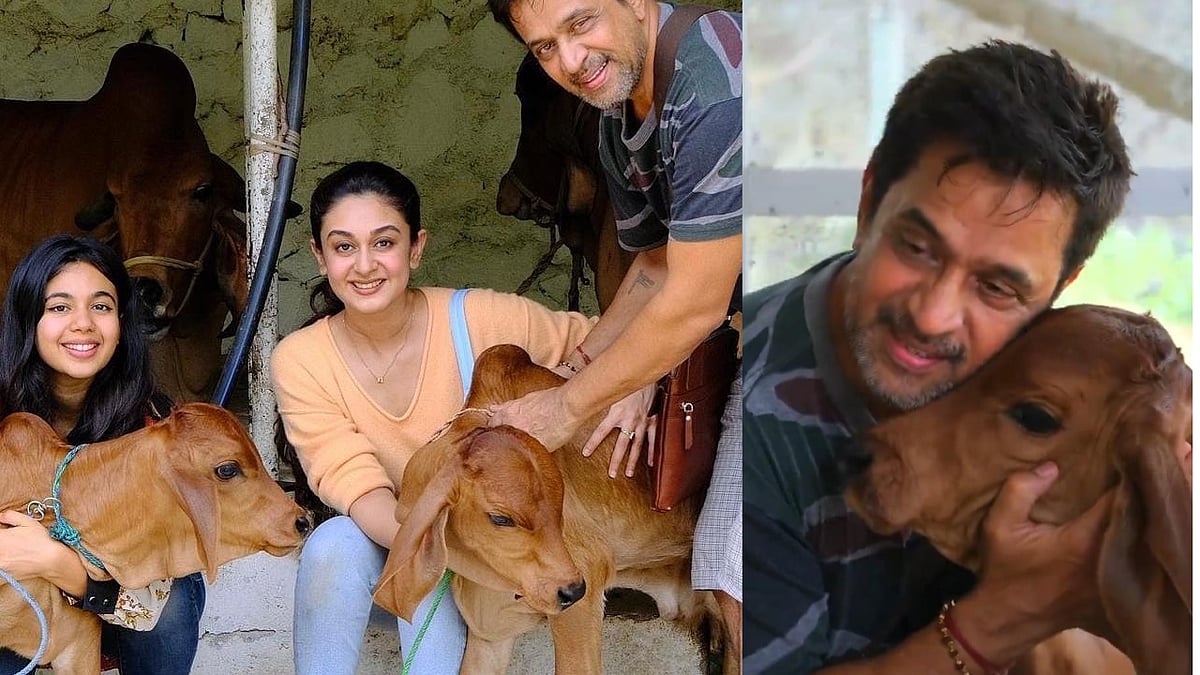 Actor Arjun: கன்றுக்குட்டி, மாட்டு வண்டி... கிராமத்து வாழ்வை அனுபவிக்கும் நடிகர் அர்ஜுன்!  