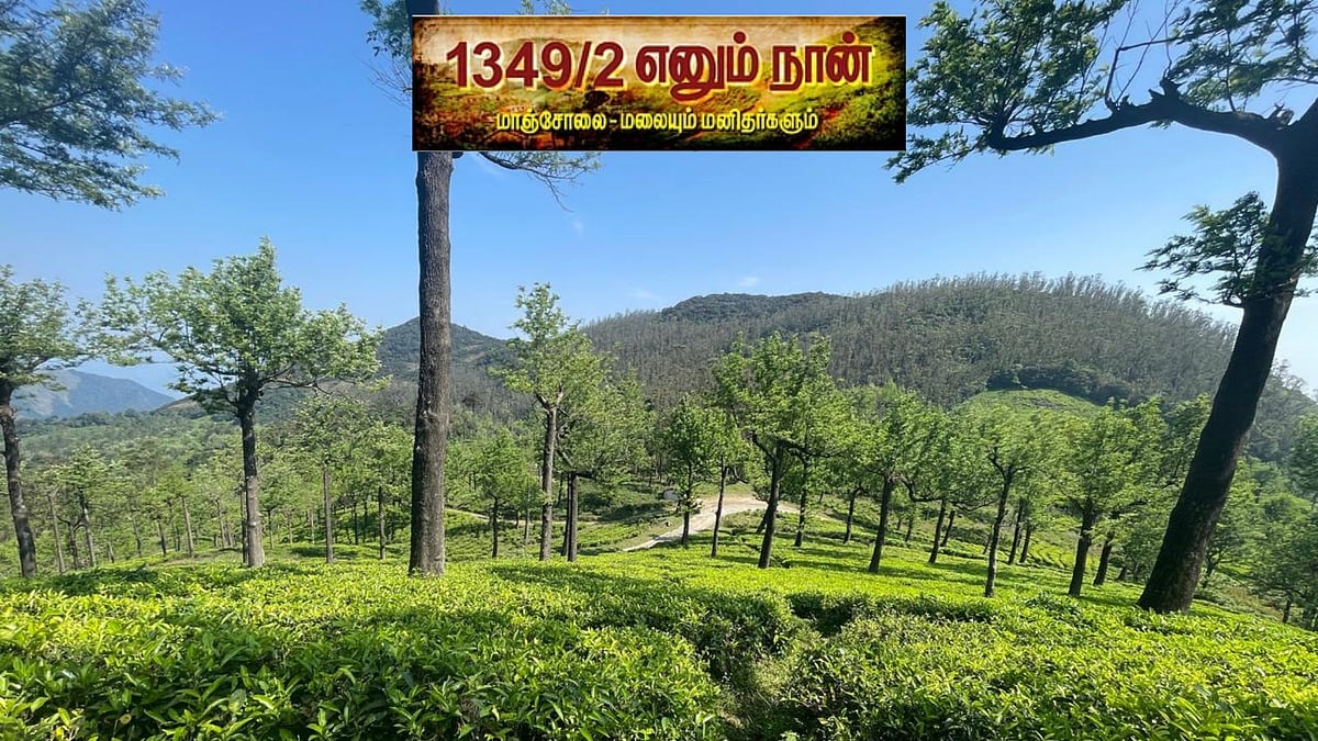 மாஞ்சோலை: `தெய்வானை, மனோன்மணி, இளவரசி...'- உயிரிழப்பில் மறுக்கப்பட்ட நீதி; போராடி வென்ற தொழிலாளர்கள்