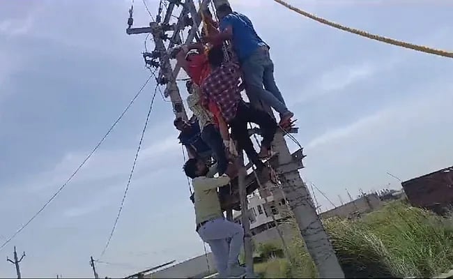 `கணவனும் வேண்டும்; காதலனும் வேண்டும்!' - மூன்று குழந்தைகளின் தாய் நூதன போராட்டம்