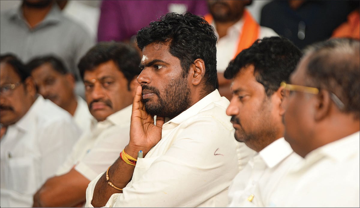 உயர்ந்த வாக்கு சதவிகிதம்... தமிழகத்தில் பா.ஜ.க வளர்ந்துவிட்டதா? - கள நிலவரம் சொல்வது என்ன?!