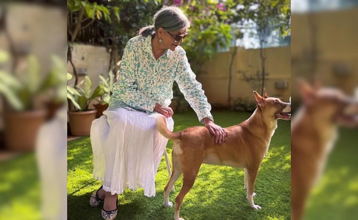 ``சேர்ந்து வாழ்ந்துவிட்டு திருமணம் செய்து கொள்ளுங்கள்!' - நடிகை ஜீனத் அமான் இளைஞர்களுக்கு ஆலோசனை