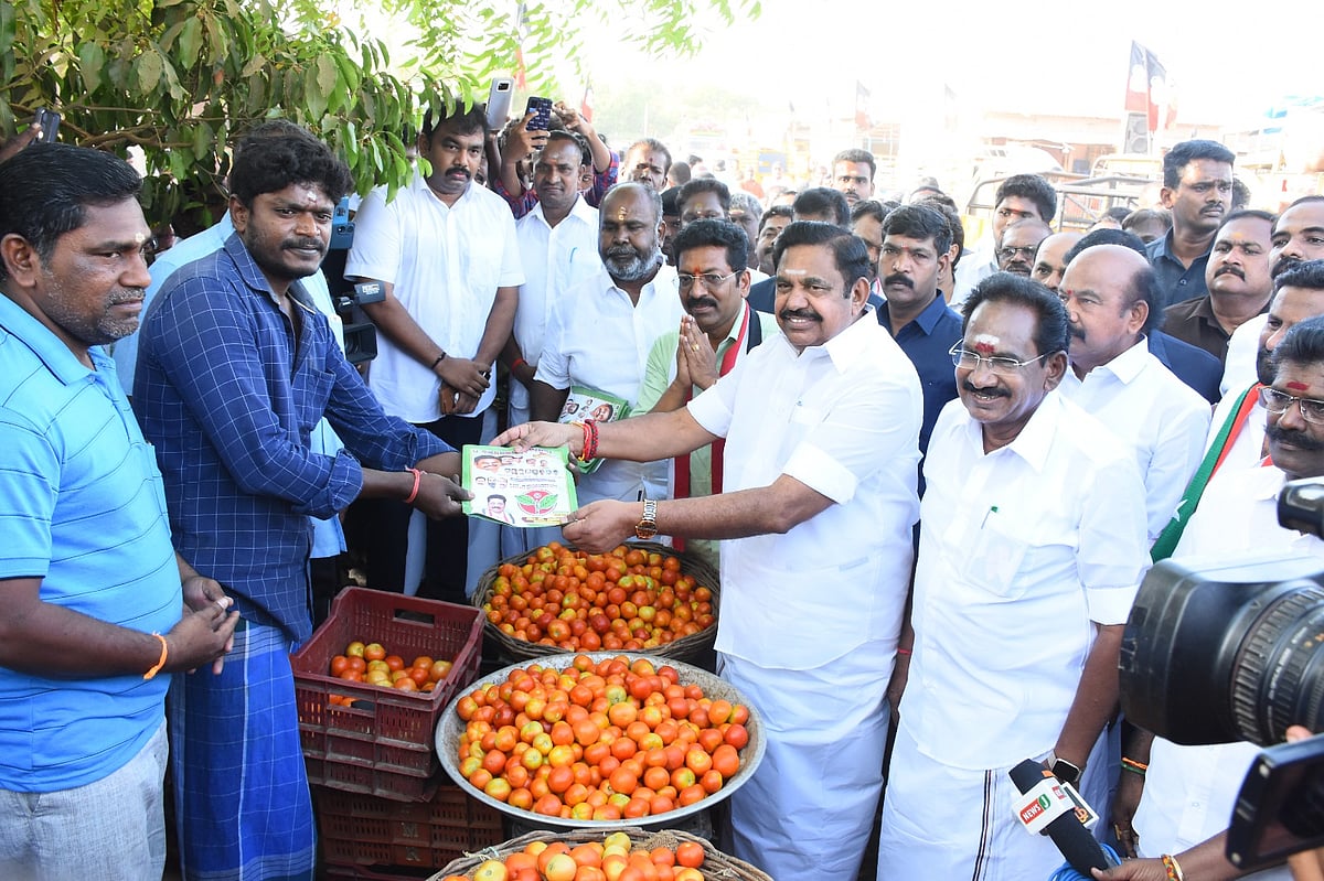 `தேர்தலில் போட்டியிடுவதைச் சொல்ல முடியாது..!' - `வாரிசு அரசியல்' குறித்து விளக்கமளித்த இபிஎஸ்