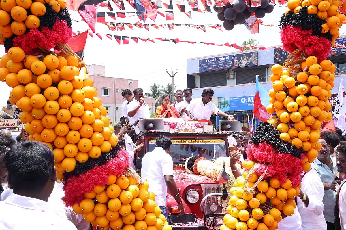 அரை டன் பழமாலை முதல் `ஷிஹ் சூ' வகை நாய் பரிசு வரை... களைகட்டும் தென்சென்னை தேர்தல் பிரசாரம்!