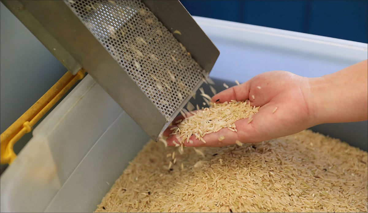 பாரம்பர்ய நெல் சாகுபடி+ அரிசி ஆலை தொடங்குதல்+ விருக்‌ஷாயுர்வேதம்; லாபத்துக்கு வழிகாட்டும் பயிற்சி