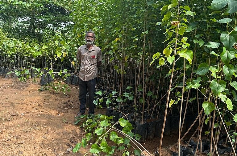 Thamirabarani: சுத்தமாகும் தாமிரபரணி... கைகோர்த்த குழுவினர்... 10 ஆண்டுகளாக தொடரும் சேவை!