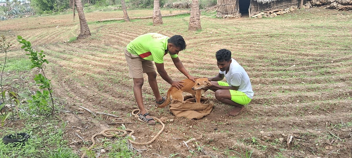 கிணற்றிலிருந்து மீட்ட தீயணைப்பு வீரர்கள் - விடாமல் கொஞ்சி விளையாடிய நாய்... கோவையில் நெகிழ்ச்சி!