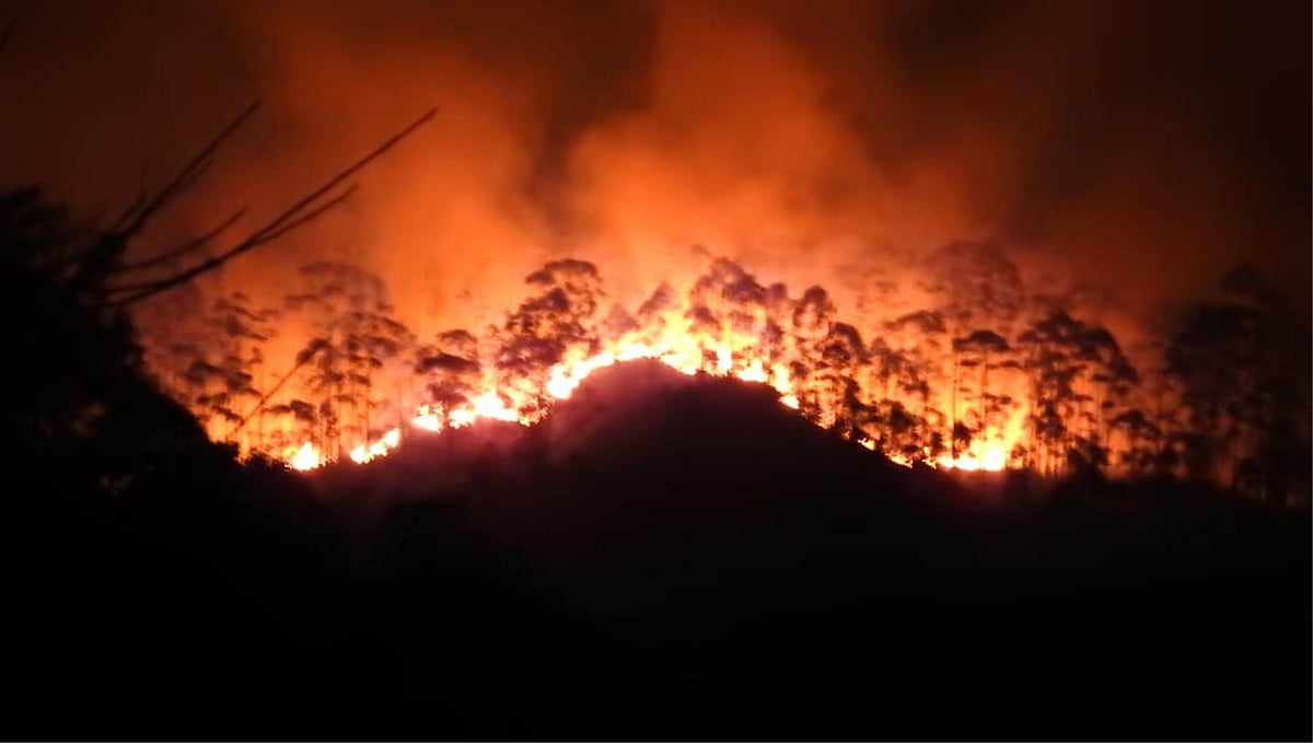 காட்டுத்தீப் பரவலால் கருகிய கொடைக்கானல் வனப்பகுதி- சூழலியல் சமநிலைக்கு பாதிப்பு உண்டா?