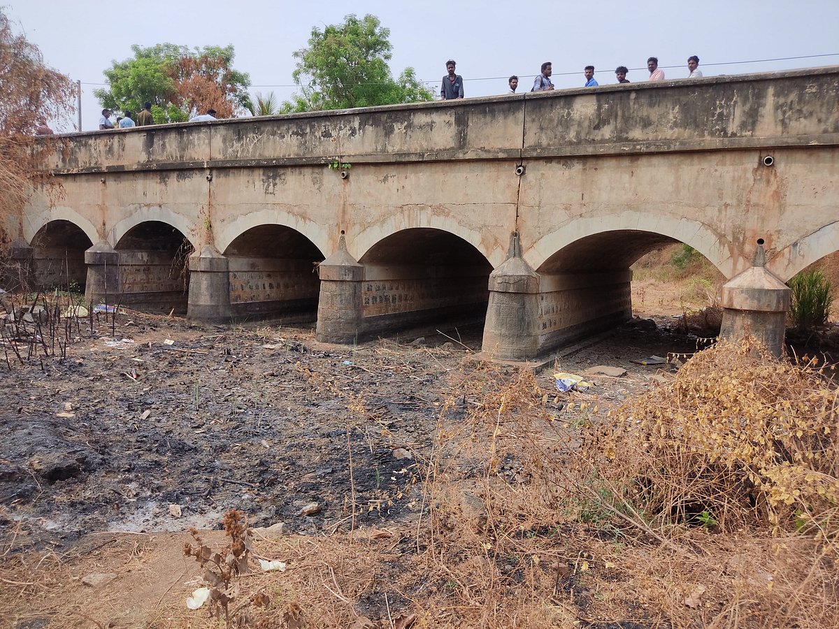 சேலம்: ஓடைப்பாலத்துக்குக் கீழ் அழுகிய நிலையில் 3 சடலங்கள் கண்டெடுப்பு - போலீஸ் தீவிர விசாரணை!