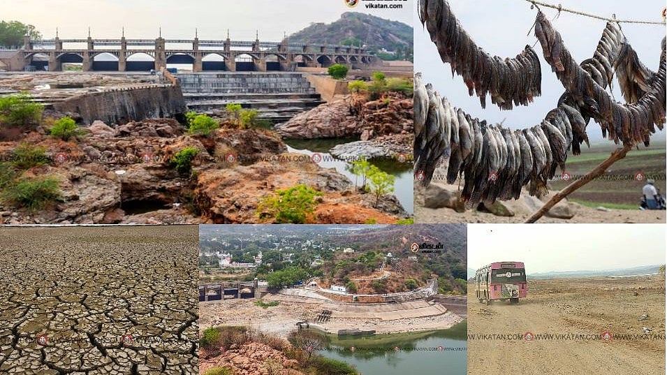 Exclusive: படகு சென்ற இடத்தில் பேருந்து; அணை பகுதியில் விவசாயம் - மேட்டூர் அணையின் வறட்சி காட்சிகள் 