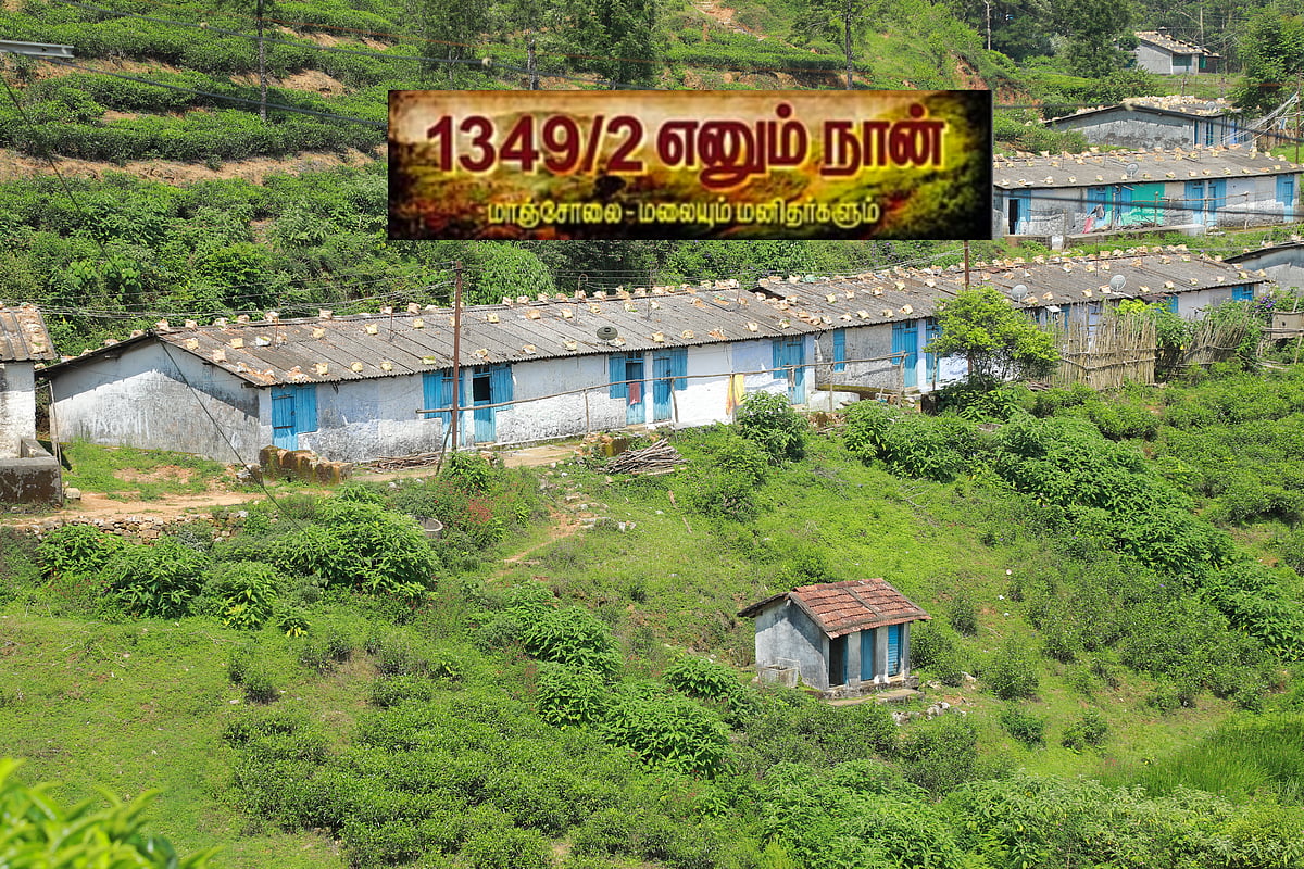 மாஞ்சோலை: `இனி எஸ்டேட் அங்கில்லை!' - உழைக்கும் மக்களின் சார்பாக ஒரு வாக்குமூலம்!