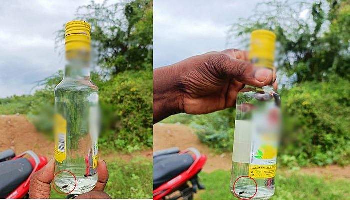 `மது பாட்டிலில் எப்படி ஈ, எறும்பு ஜோடியா செத்து கிடக்கு?'- வாக்குவாதம் செய்த குடிமகன்; பரவும் ஆடியோ!