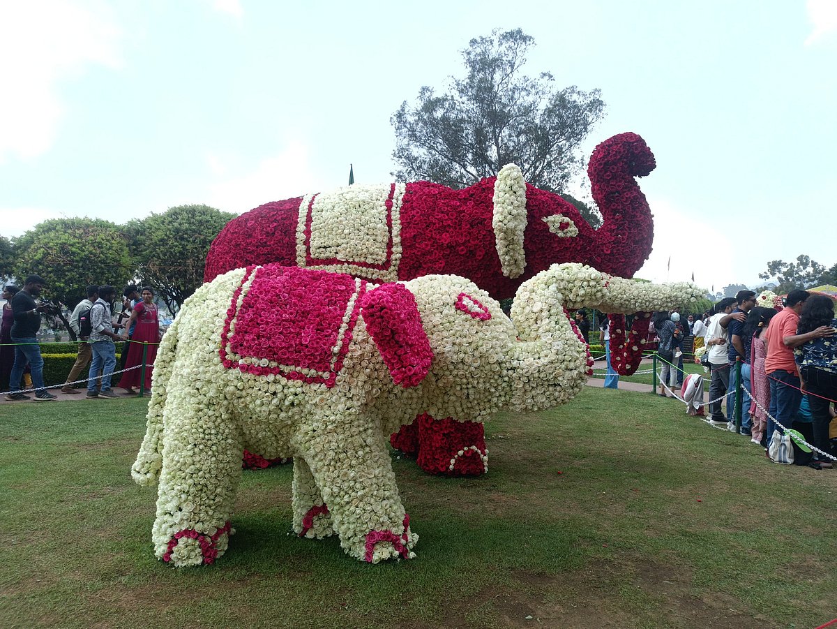 குழந்தைகளை ஈர்த்த ஊட்டி மலர் கண்காட்சி: டிஸ்னி வோர்ல்ட், ரேபிட், ரயில் என்ஜின்... Photo Album