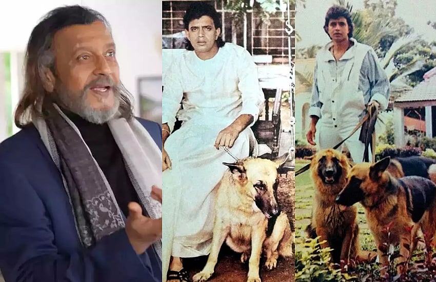 Mithun Chakraborty: நாய்களுக்கு ரூ.45 கோடி சொத்தை எழுதி வைத்த நடிகர் மிதுன் சக்கரவர்த்தி!