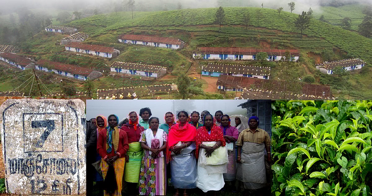 மாஞ்சோலை: தொழிலாளர் குடும்பங்களை வீதியில் தவிக்கவிட்ட தமிழக அரசு?!