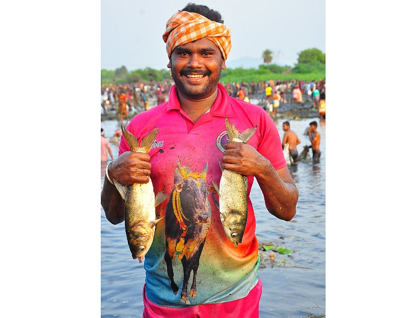 துள்ளிக்குதித்த ஜிலேபி, நழுவிய விரால்; மதுரையில் களைகட்டிய மீன்பிடித் திருவிழா!