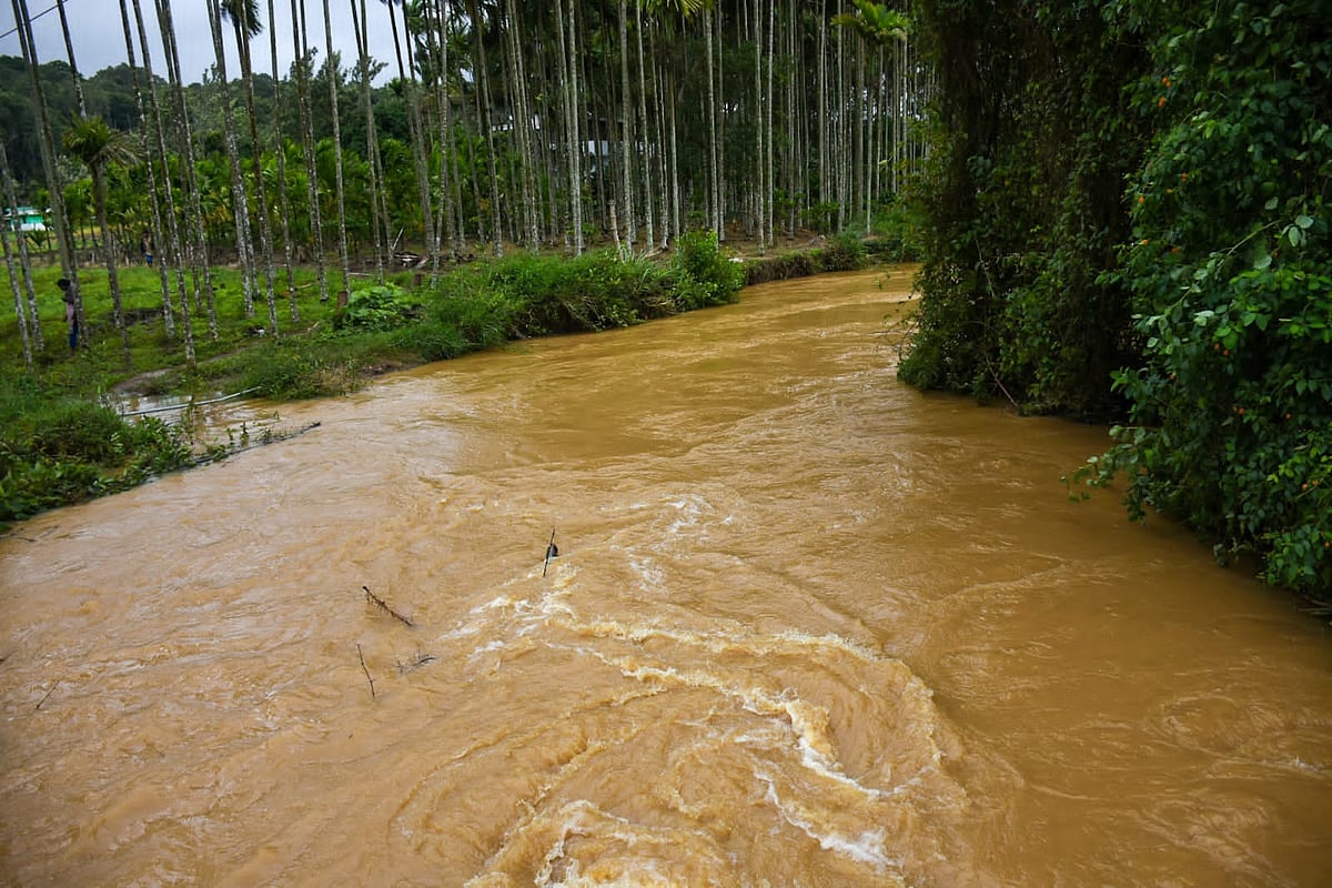 Rain: நீலகிரியில் கரை புரளும் வெள்ளம்... 2வது நாளாக பள்ளிகளுக்கு விடுமுறை; மீட்பு முகாம்கள் தயார்!