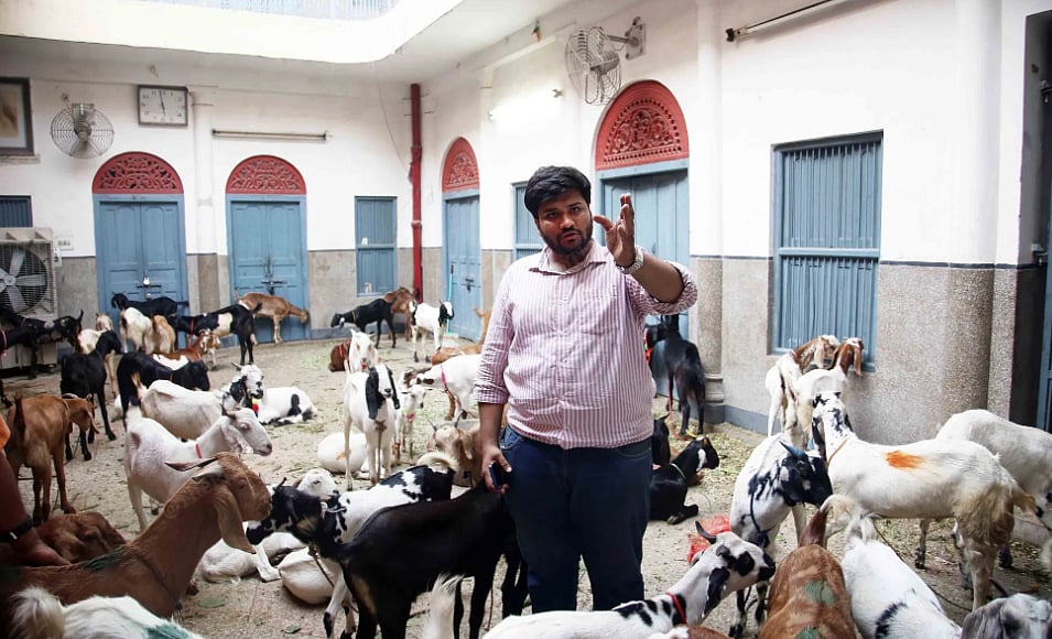 `முஸ்லீம் போல வேடமிட்டோம்...' 124 ஆடுகளை மீட்ட ஜெயின் சமூக இளைஞர்! இது சரியா? 