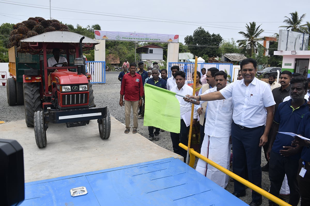 `பாமாயிலுக்கு சந்தையில் நல்ல விலை கிடைக்கிறது... ஆனால்' - அமைச்சர் டி.ஆர்.பி.ராஜா!