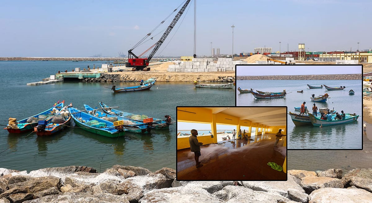 திருவொற்றியூர்: `சூரை மீன்பிடி துறைமுக’ கட்டுமான பணிகள் விறு விறு... ஸ்பாட் விசிட் ஆல்பம்!