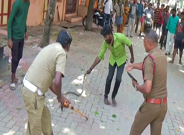 தீயணைப்புத் துறையினருக்குப் போக்கு காட்டிய பாம்பு - உதவ முற்பட்டு பாம்பிடம் கடி வாங்கிய இளைஞர்!