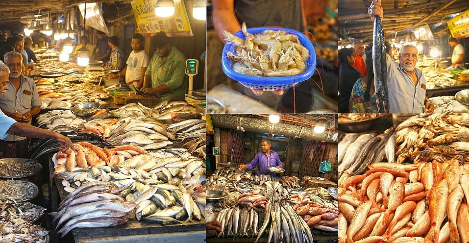 `வகைவகையாய் மீன்கள், விற்று தீர்ந்த நெத்திலி..!’ - மதுரை நெல்பேட்டை மீன் மார்க்கெட் விசிட்! | Album