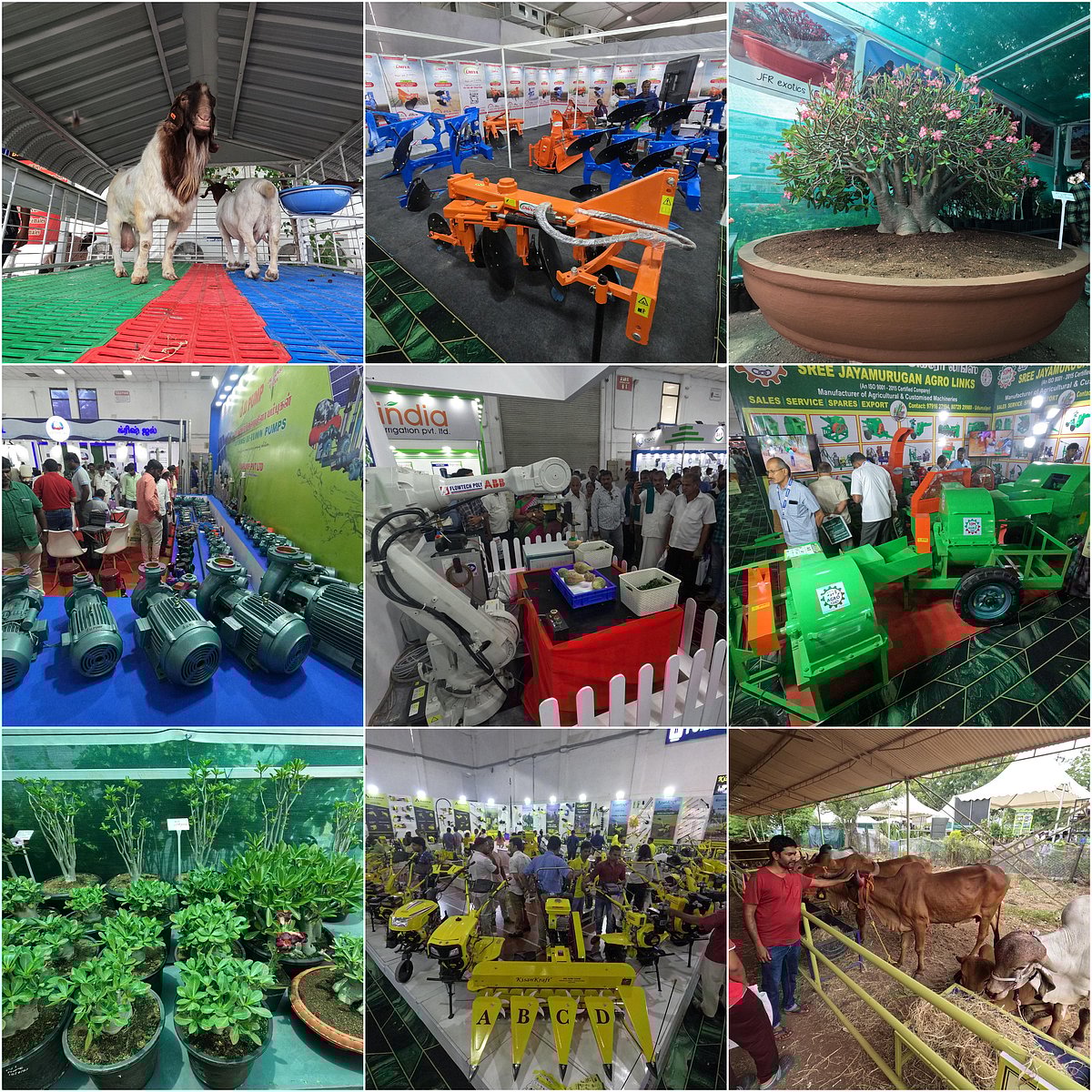 140 கிலோ ஆடு முதல் ரோபோட்டிக் இயந்திரங்கள் வரை... கோவையில் களைகட்டும் அக்ரி இன்டெக்ஸ் - 2024